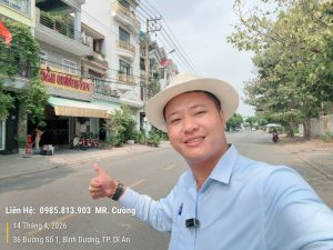 đất mặt tiền tthc dĩ an